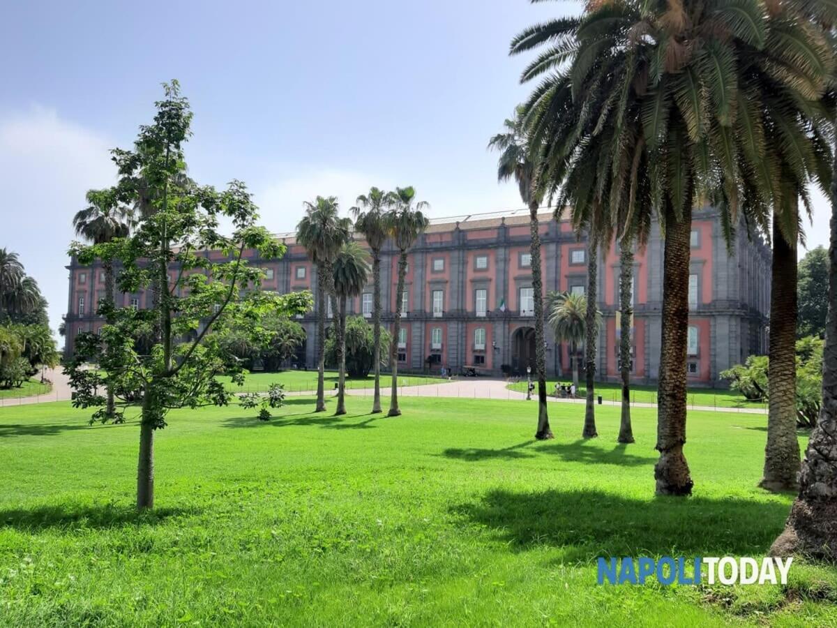 Appartement La Casita Nel Bosco à Naples Extérieur photo
