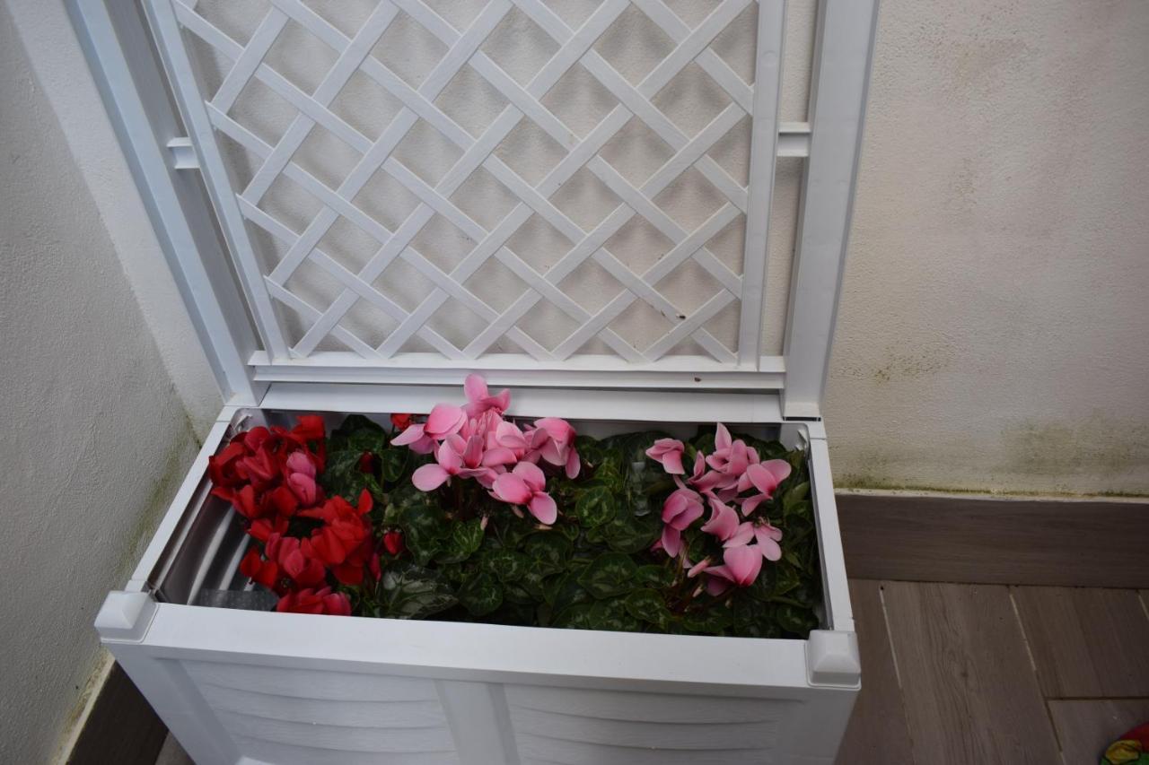 Appartement La Casita Nel Bosco à Naples Extérieur photo